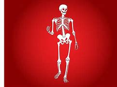 Image result for Smiling Skeleton Clip Art