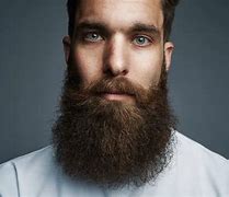 Image result for Double Chin Beard