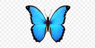 Image result for iPhone Butterfly Emoji