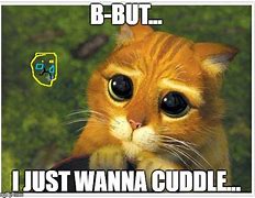 Image result for Snuggle Meme Couple