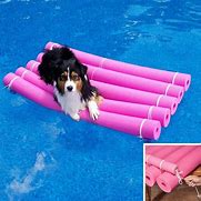 Image result for Dog Pool Float