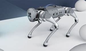 Image result for Tesla Robot Dog