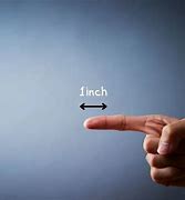 Image result for One Inch Actual Size Image