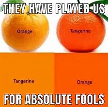 Image result for Bitter Orange Meme
