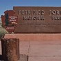 Image result for Petrified Wood California