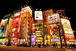 Image result for Akihabara Images