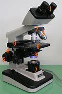 Image result for Nikon Microscope Parts