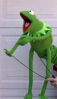 Image result for Kermit the Frog Replica