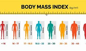 Image result for BMI Weight Scale