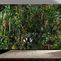 Image result for Nature-Themed Wallpaper for Walls