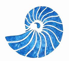 Image result for Shell Stencil