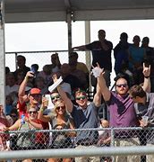 Image result for Wild Race Fans