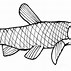 Image result for Carp Fishing Hooks CLP Art