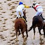 Image result for Kentucky Derby Winners Circle