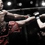 Image result for Cool UFC Pictures