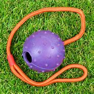 Image result for Wo Rubber Dog Toy