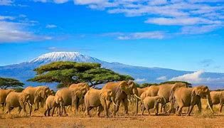 Image result for Beautiful Sceneries in Kenya