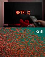 Image result for Netflix and Krill Meme