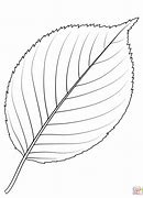 Image result for Apple Tree Leaves