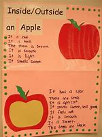 Image result for 5 Types of Apple's