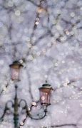 Image result for Winter Fairy Lights Background Image