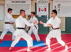 Image result for Karate Discipline