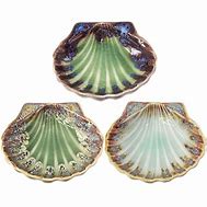 Image result for Clam Shell Dish