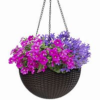 Image result for Self-Watering Hanging Flower Baskets