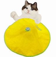Image result for Battery Operated Cat Toys