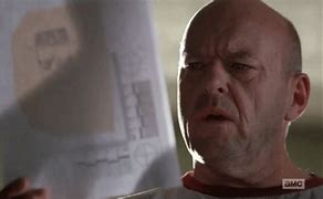 Image result for Breaking Bad Hank Schrader