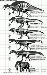 Image result for Dino Size Comparison