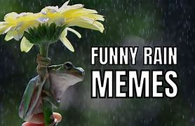Image result for Cute Rain Meme
