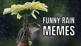Image result for Spring Rain Meme