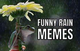 Image result for More Rain Meme