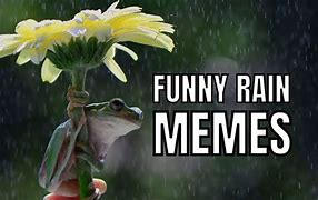 Image result for Rain or Shine Meme
