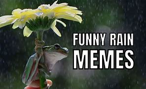 Image result for Saturday Rain Meme
