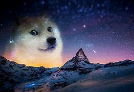 Image result for Dogs Memes Wallpaper 4K