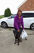 Image result for Greyhound Dog Goes to New Home