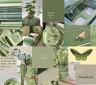 Image result for Pinterest Green Wallpaper