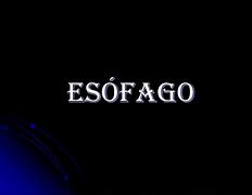 Image result for es�fago