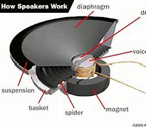 Image result for Inside Speaker Schematic