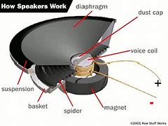 Image result for Inside Speaker Schematic