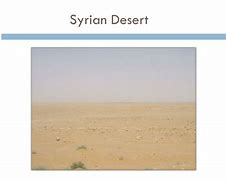 Image result for Syrian Desert