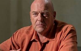 Image result for Party Hank Breaking Bad