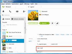 Image result for Skype Layout