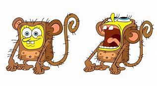 Image result for Spongebob Monkey Meme