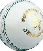 Image result for Cosco Cricket Ball