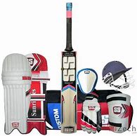 Image result for SF Cricket Kit
