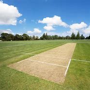 Image result for Cricket Pitch Front View