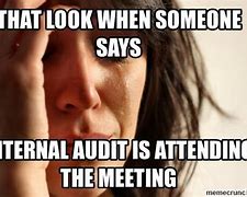 Image result for Internal Audit Funny Memes